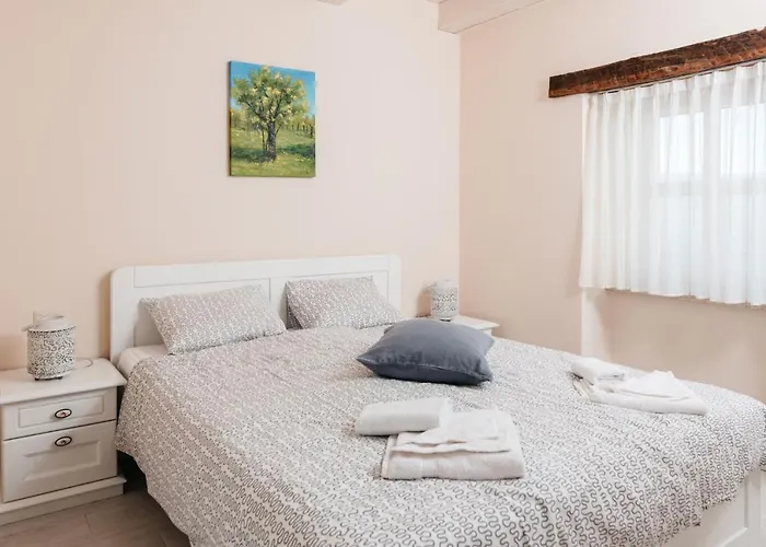 Villa Hana Motovun